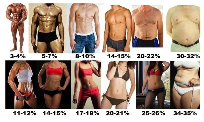 body fat percentage chart for men and women