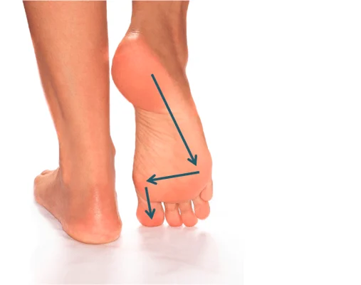 foot